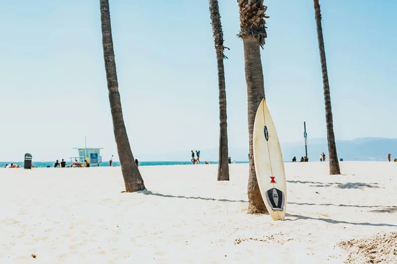 Beach Activities
