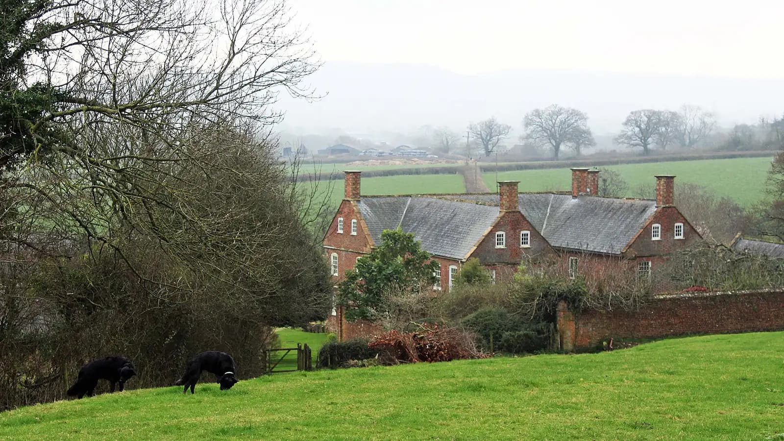 Hen party accommodation near Bettiscombe, Dorset