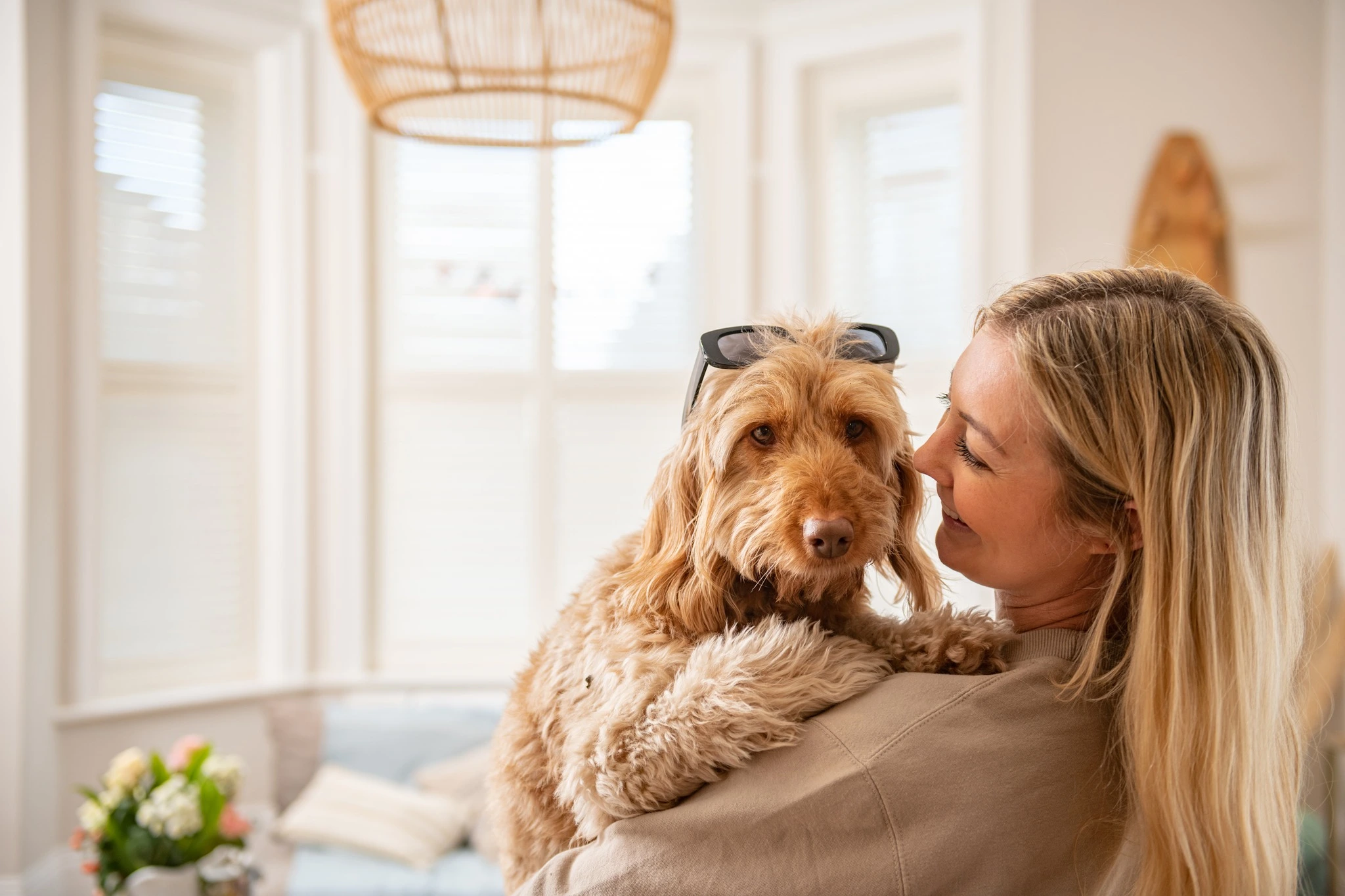 Dog Friendly collection